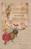 FANTAISIE  -  MEILLEURS SOUHAITS POUR LA NOUVELLE ANNEE 1903  -  GAUFREE  - - Nieuwjaar