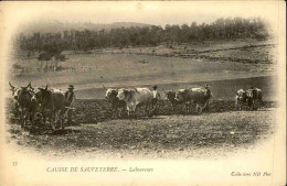 AGRICULTURE - Carte Postale - Causse De Sauveterre - Laboureurs - L 152325 - Landbouw