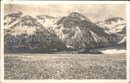 11773288 Arosa GR Krokuswiese Blick G. Die Furka Arosa - Autres & Non Classés