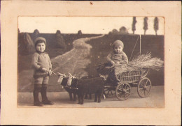 Children With Toy Oxen Drawn Cart Studio Czecz, Bela Crkva - Anonymous Persons