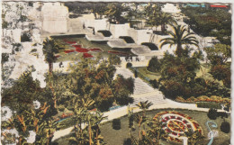 DEF : Algérie : ALGER :  Square  Laferrière , 1963 - Algerien