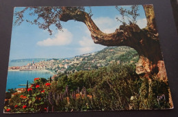 Menton (Alpes-Maritimes) - La Ville Vue Des Jardins Des Collombières - Editions D'art Yvon - Menton