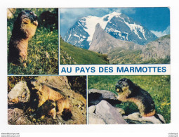 Au Pays Des Marmottes N°2119 En 1985 Marmotta La Marmotte Des Alpes - Andere & Zonder Classificatie