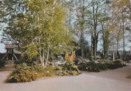 MILLY LA FORET. -   Saint-Blaise Des Simples. Partie Du Jardin Botanique.  CPM Pas Courante - Milly La Foret