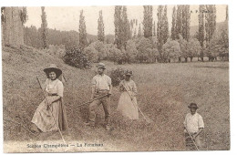 Scènes Champêtre La Fenaison - Landbouw