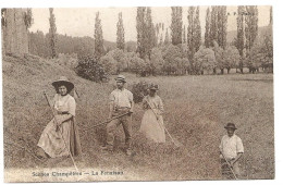 Scènes Champêtre La Fenaison - Culture