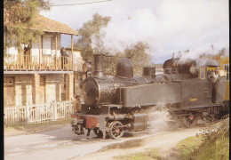 Trains -- Pres De Tondola En Mars 1987 Le Dernier Train A Vapeur - Trains