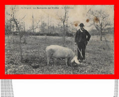 CPA (24) EN PERIGORD. La Recherche Des Truffes Avec Le Cochon, La Récompense...S1924 - Landwirtschaftl. Anbau