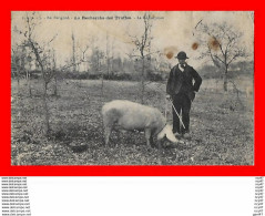 CPA (24) EN PERIGORD. La Recherche Des Truffes Avec Le Cochon, La Récompense...S1924 - Culture