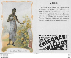 CHROMOS.  Chicorée WILLIOT.  Afrique  "Acacia Arabique"...S3143 - Thé & Café