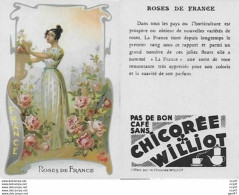 CHROMOS.  Chicorée WILLIOT.  France  "Roses De France"...S3134 - Thee & Koffie