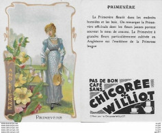 CHROMOS.  Chicorée WILLIOT.  Angleterre  "Primevère"...S3141 - Tea & Coffee Manufacturers