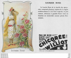 CHROMOS.  Chicorée WILLIOT.  Algérie   "Laurier Rose"...S3149 - Té & Café