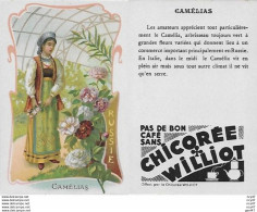 CHROMOS.  Chicorée WILLIOT.  Russie  "Camélias"...S3135 - Tee & Kaffee