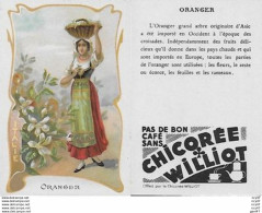 CHROMOS.  Chicorée WILLIOT.  Italie "Oranger"...S3130 - Thee & Koffie