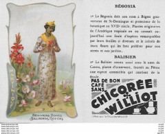 CHROMOS.  Chicorée WILLIOT. Martinique  "Bégonias Roses Et Balisiers Rouges"...S3138 - Thee & Koffie