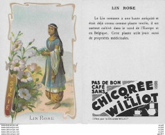 CHROMOS.  Chicorée WILLIOT. Syrie  "Lin Rose"...S3136 - Té & Café