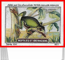 CHROMOS. Chocolat NESTLE.  Reptiles Et Batraciens...S1123 - Nestlé