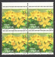 Hypericum Perforatum - St John's-wort - Herbal Medical Drug FLOWER - 2020 SERBIA - Used Block Of Four - Servië
