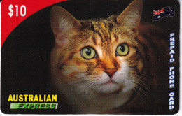 TARJETA DE AUSTRALIA DE UN GATO (CAT) - Gatos