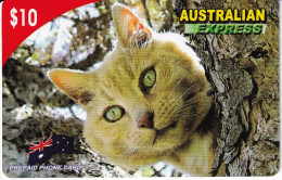 TARJETA DE AUSTRALIA DE UN GATO (CAT) - Gatos