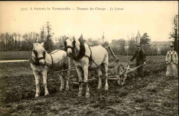 AGRICULTURE - Carte Postale De Normandie - Le Labour - L 152355 - Landwirtschaftl. Anbau