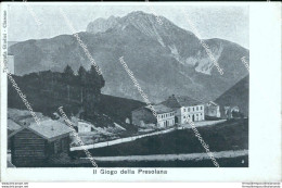 Bs297 Cartolina Il Giogo Della Presolana Provincia Di Bergamo   Lombardia - Bergamo