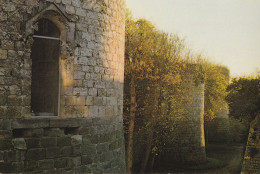 DOURDAN. - Le Château. Suite De Tours. Cliché RARE - Dourdan