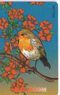 TARJETA DE MALTA DE UN PETIRROJO (BIRD-PAJARO) ROBIN - Malta