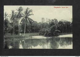 SINGAPOUR - SINGAPORE - Tyersall Lake - Singapour