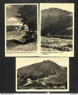 TCHEQUIE - 3 Cartes-Photo - RIESENGEBIRGE - Schneekoppe 1605 M - Neue Schlesische-Baude 1195 M - 1942 - Repubblica Ceca