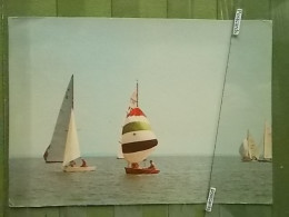 Kov 717-9 - Hungary, BALATON, Régate De Voile, Sailing Regatta - Hungría