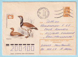 USSR 1978.0526. Bustard (Otis Tarda). Prestamped Cover, Used - 1970-79