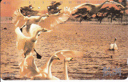 TARJETA DE JAPON DE UNOS CISNES (BIRD-PAJARO) CISNE - Sonstige & Ohne Zuordnung