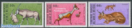 Afars And Issas 1973 Animals 3v, Mint NH, Nature - Animals (others & Mixed) - Cat Family - Nuevos