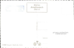 11770241 Jungfraujoch Eishoehle Polarhunde Jungfraujoch - Sonstige & Ohne Zuordnung