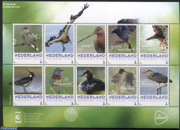 Netherlands - Personal Stamps TNT/PNL 2017 Birds In Spring 10v M/s S-a, Mint NH, Nature - Birds - Sonstige & Ohne Zuordnung