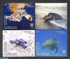 Aitutaki 2020 Turtles 4v [+] (coloured Borders), Mint NH, Nature - Reptiles - Turtles - Aitutaki