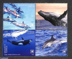 Tonga 2020 Whales And Dolphins 4v [+] (with Coloured Borders), Mint NH, Nature - Sea Mammals - Andere & Zonder Classificatie