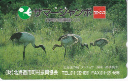 TARJETA DE JAPON DE UNAS GRULLAS (BIRD-PAJARO) GRULLA - Otros & Sin Clasificación