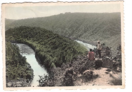 Le Hérou La Crête ( Carle Colorisée ) - La-Roche-en-Ardenne