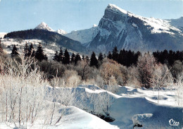 74-SAMOENS-N°C4083-A/0121 - Samoëns