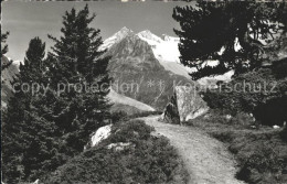 11761993 Moerel Riederalp Aussblick Vom Casselweg Riederhorn Moerel - Otros & Sin Clasificación