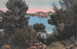 06-SAINT JEAN CAP FERRAT-N°C4083-E/0269 - Saint-Jean-Cap-Ferrat