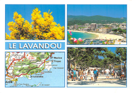 83-LE LAVANDOU-N°C4083-C/0339 - Le Lavandou