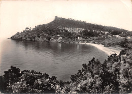 83-LE LAVANDOU-N°C4084-B/0247 - Le Lavandou