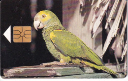 TARJETA DE BONAIRE DE UN LORO (BIRD-PAJARO) PARROT - Antille (Olandesi)