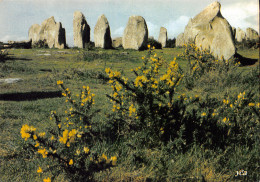 56-CARNAC-N°C4085-A/0163 - Carnac