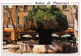 13-SALON DE PROVENCE-N°C4085-C/0371 - Salon De Provence