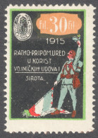 CROATIA Hungary KuK K.u.K 1915 WW1 Soldier Military FLAG War Widow Orphan Aid Charity LABEL CINDERELLA VIGNETTE Used 30 - Kroatië